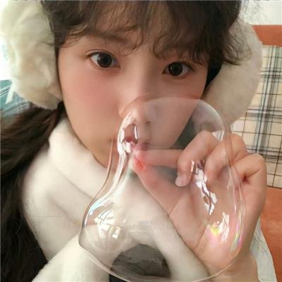 比翼归飞